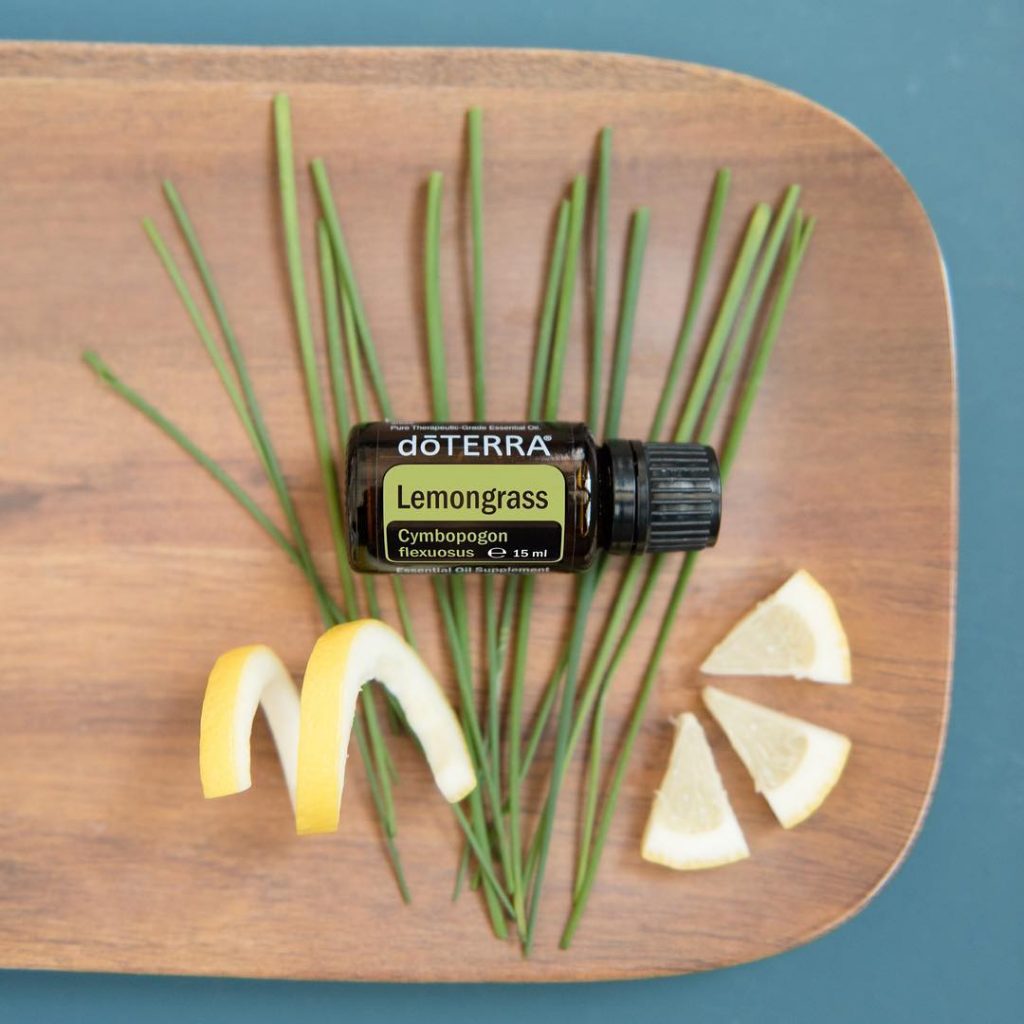 lemongrass essential oil can help repel bugs and dengue causing mosquitoes
